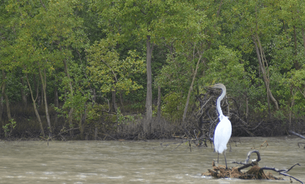 Eksplorasi Cagar Alam Pulau&nbsp;Berkey